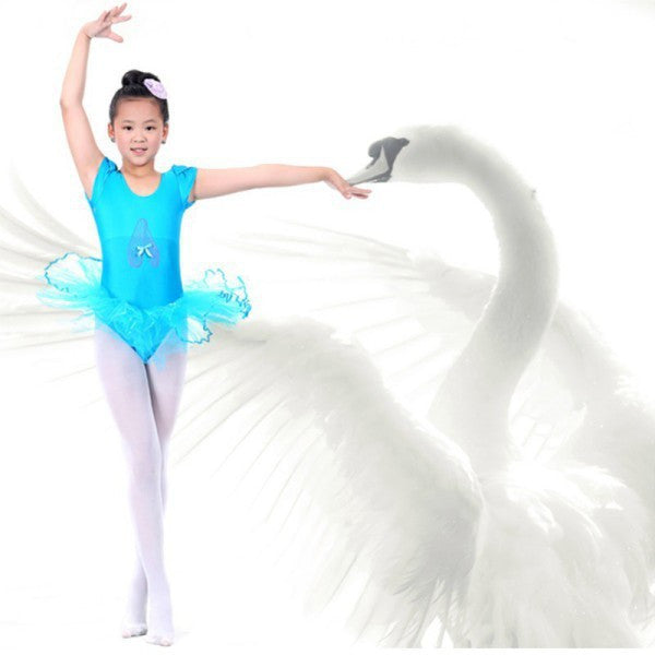 Girls Ballet Tranning Dance Skirt Tutu Dress